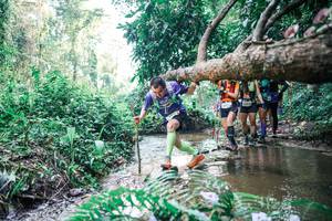 BIB: 
                            <button type="button" onclick="openModal(25459546)" class="btn btn-primary btn-sm float-right btn-popup" data-toggle="modal" data-target=".modal-high-quality">
                        <i class="fas fa-shopping-cart"></i> Add to Cart
                    </button>
                                            <button type="button" onclick="isThisMe(25459546, true)" class="btn btn-success btn-sm float-right btn-popup btn-isme hidden" data-toggle="tooltip" data-placement="bottom" title="นี่คือรูปของคุณใช่ไหม คลิกที่นี่เพื่อเอาเข้าอัลบั้ม">
                        <i class="fas fa-plus"></i> Add to album
                    </button>
                    <button type="button" onclick="isThisMe(25459546, false)" class="btn btn-warning btn-sm float-right btn-popup btn-isnotme hidden">
                        <i class="fas fa-ban"></i> Remove from album
                    </button>